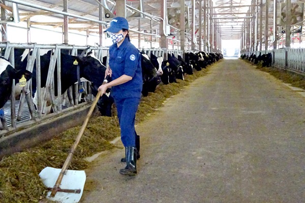 Vì sao nên ứng dụng kết cấu thép trong nông nghiệp